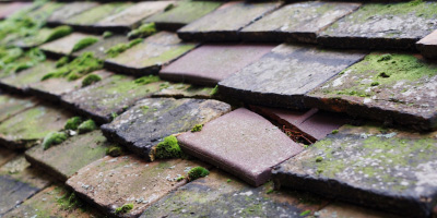 Dulas roof repair costs